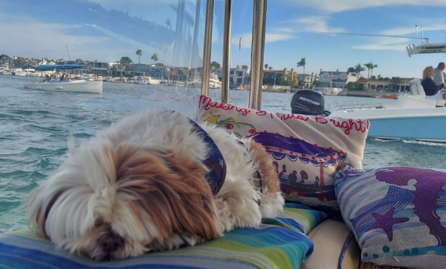 Image 4: Enjoy breathtaking views on a 2-hour Newport Harbor Private Cruise