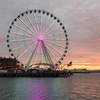 Image 2: Explore Seattle by Night with a Guided Tour for One Adult or One Child