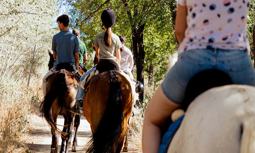 Image 4: Ruta a caballo de 90 minutos por el Aljarafe hasta Itálica