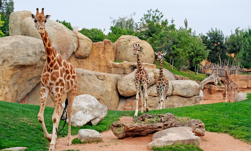 Image 5: ¡Descubre la selva en Valencia! Entrada para adulto o niño en Bioparc