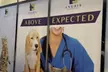 Ensure Pet's Health with Vaccination or Preventive Care Package at Anubis Veterinary Clinic (Up to 59% Off) - Image 2