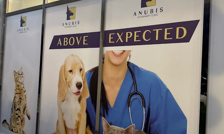 Image 6: Take Care of Your Pet: Vaccination or Preventive Care Package