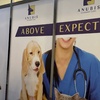 Image 2: Take Care of Your Pet: Vaccination or Preventive Care Package