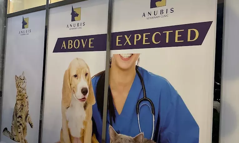 Take Care of Your Pet: Vaccination or Preventive Care Package