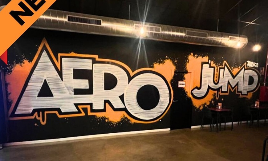 Image 5: 60 minutos de acceso a parque de saltos para 1, 2 o 4 personas