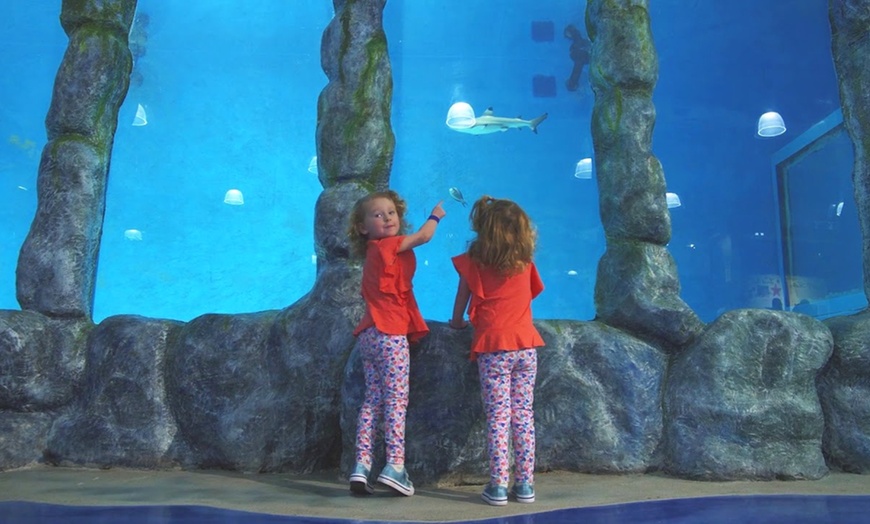 Image 3: GetOut Arkansas with Admission to 25+ Iconic Attractions