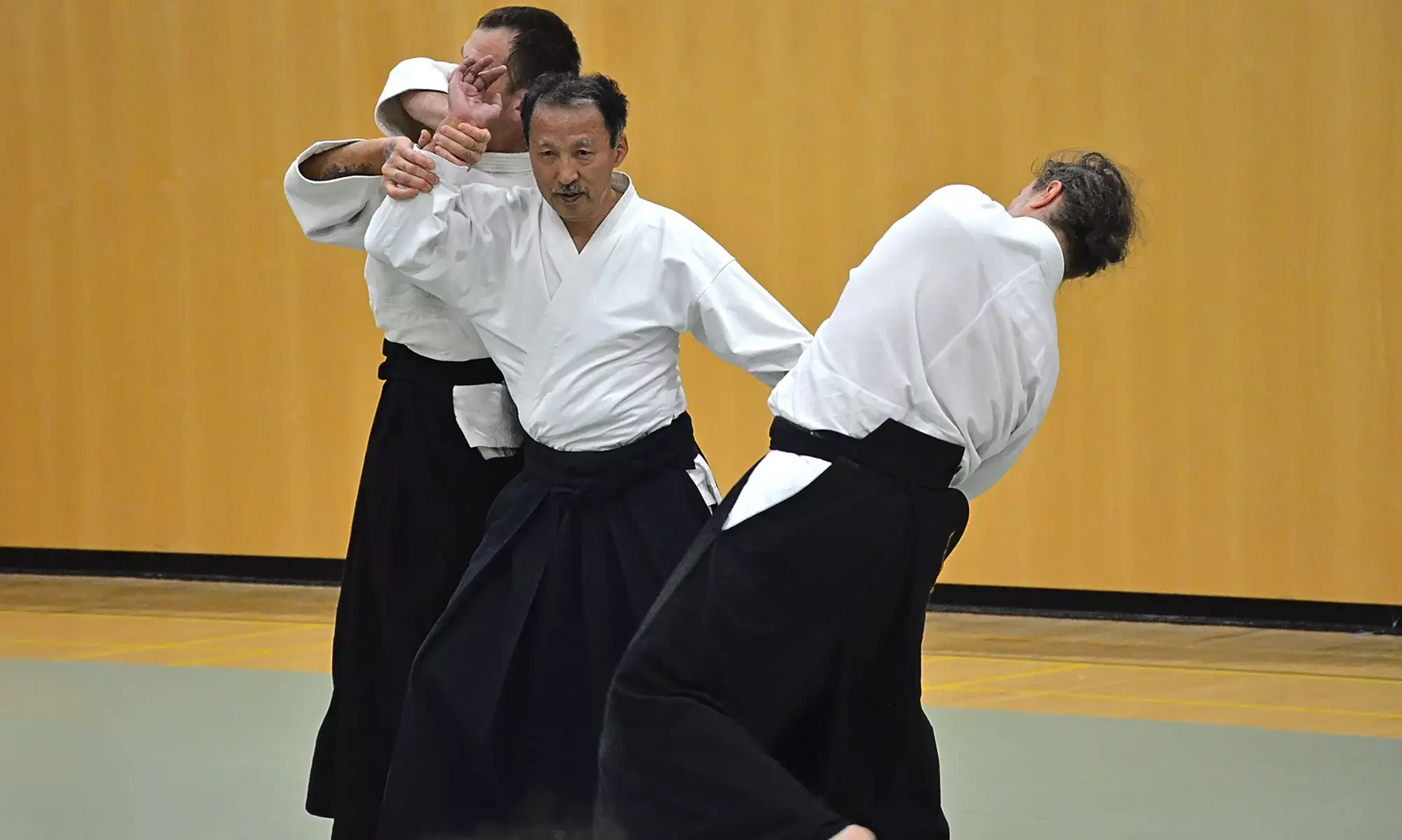 Online Aikido Classes at Vancouver West Aikikai (Up to 69% Off). Three Options Available.  - Primary Image