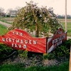 Image 1: Explore Westhaven Farm's Nighttime Corn Maze & Enjoy Cider 