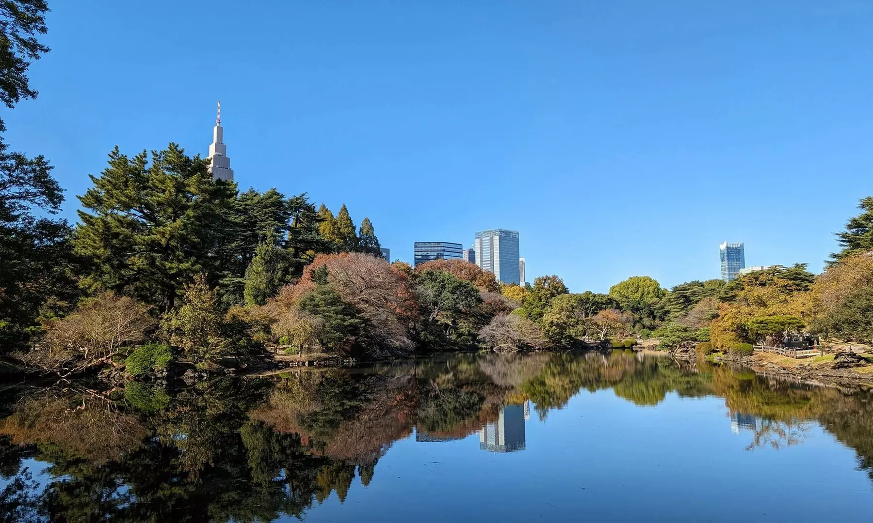 ✈ Tokyo: 8-Day Getaway with Hotel & Flights from Worldee