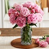 Image 6: Next Day Delivery Fresh Flowers & Gifts from 1-800-Flowers.com (up to 50% off)