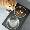 Image 3: Elevated Pet Food Bowl Water Bowl Feeder Adjustable Height