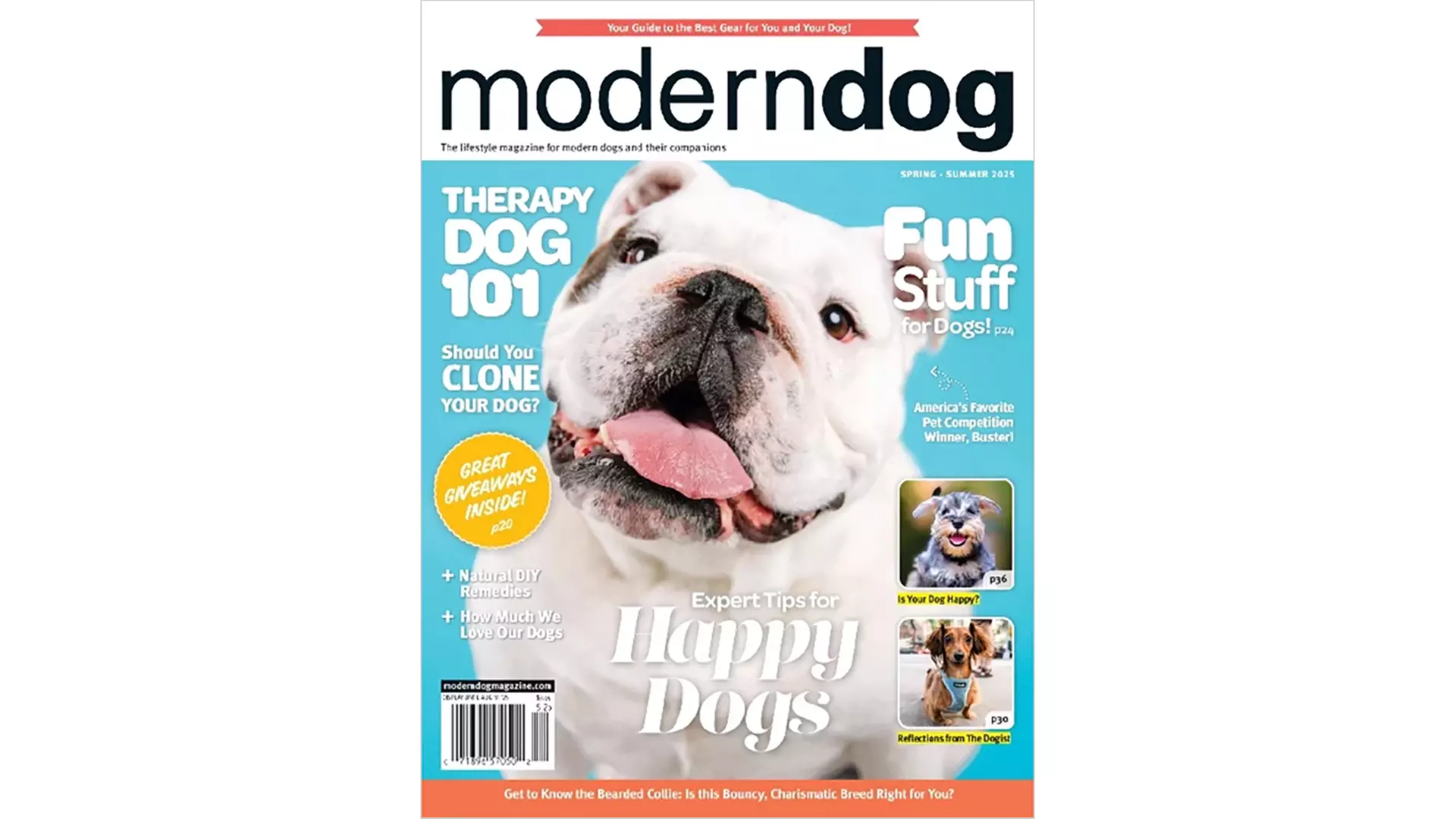 Two-Year Subscription to Modern Dog Magazine (62% Off) - Primary Image