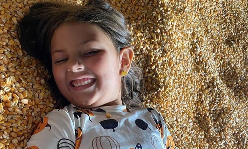 Image 9: 42% Off Corn Maze and Pumpkin Patch at Chesterfield Berry Farm