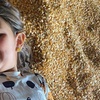 Image 9: 42% Off Corn Maze and Pumpkin Patch at Chesterfield Berry Farm