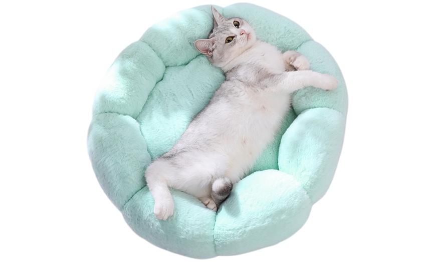 Image 6: Floral Pet Bed, Padded Comfort with Supportive Edges