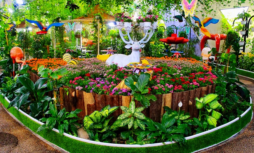 Image 2: Dubai Miracle Garden + Butterfly Garden Combo Tickets (For 1, 2, or 4)