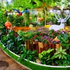 Image 2: Dubai Miracle Garden + Butterfly Garden Combo Tickets (For 1, 2, or 4)