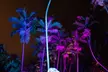 Explore Dazzling Light Displays at The Night Garden in Miami - Second Medium