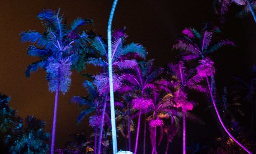 Image 7: Explore Dazzling Light Displays at The Night Garden in Miami