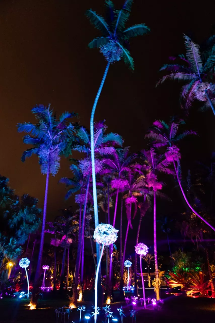 Explore Dazzling Light Displays at The Night Garden in Miami