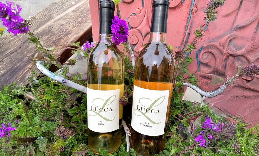 Image 9: Get a Wine Tasting Experience for Two, Four, or Six & Bottle Credits