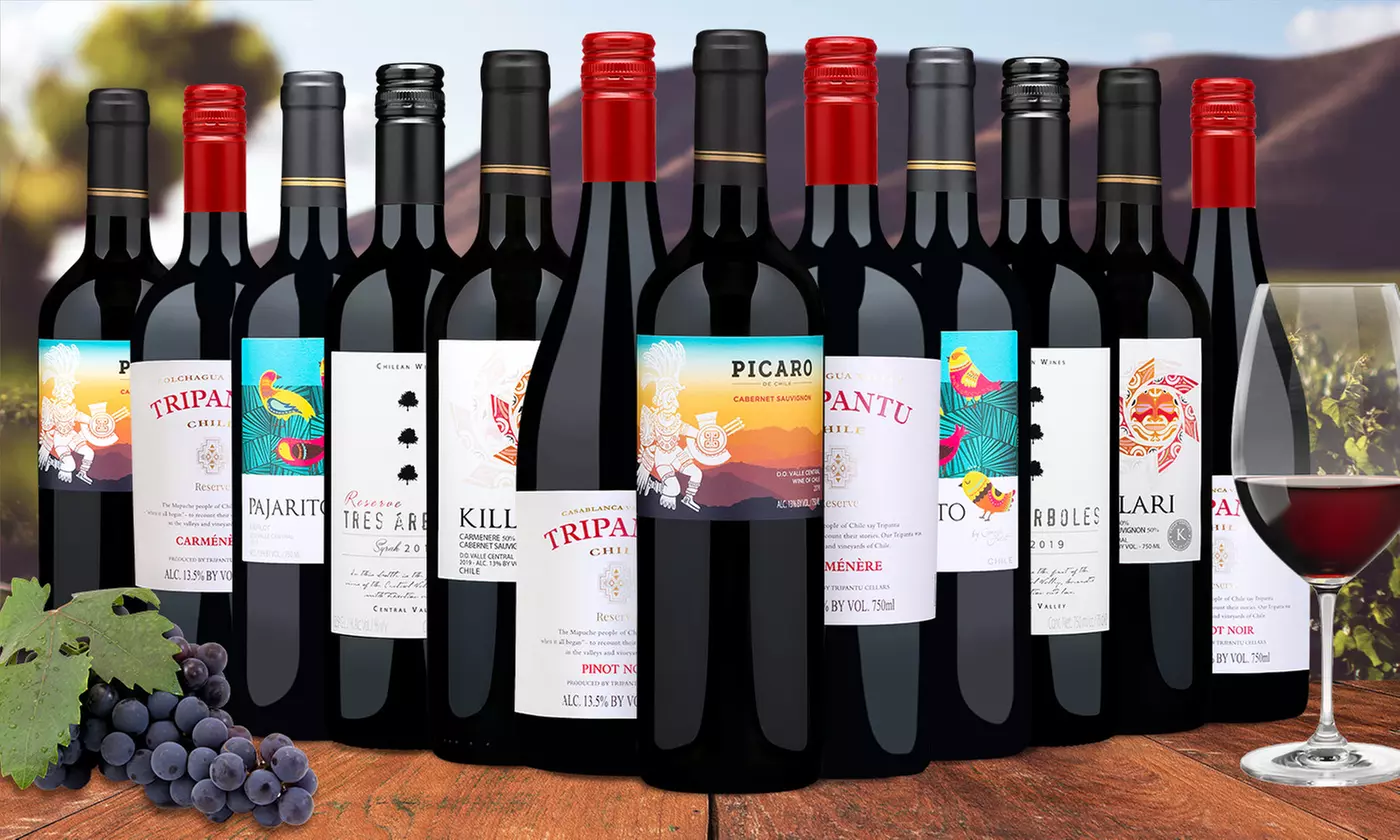 6- or 12-Pack of Chilean Red Wines from Wine Insiders (Up to 67% Off) - Primary Image