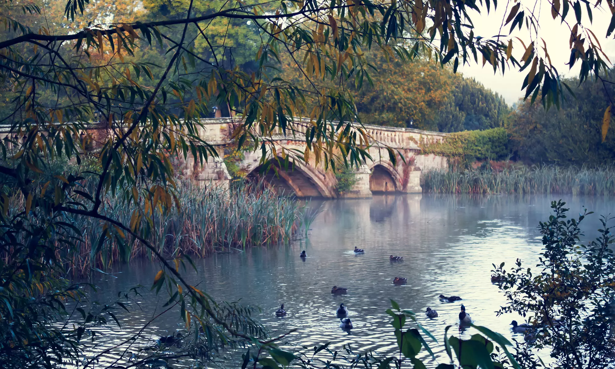 Warwickshire: 4* Double Room with Breakfast and Spa for 2