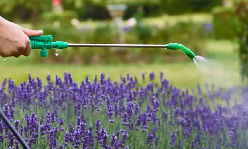 Image 4: 5L or 8L Outdoor Garden Pressure Sprayer