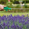 Image 4: 5L or 8L Outdoor Garden Pressure Sprayer