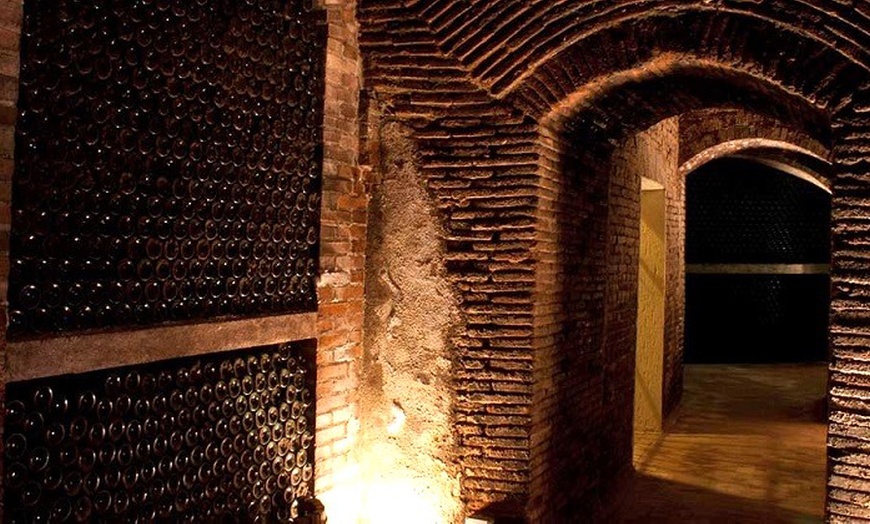 Image 15: Visita guiada a bodega para 2 o 4 con cata de 3 vinos y aperitivo