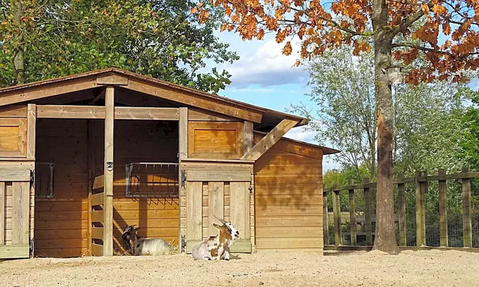 Disneyland Paris: 1 o 2 notti in hotel più ingresso al parco