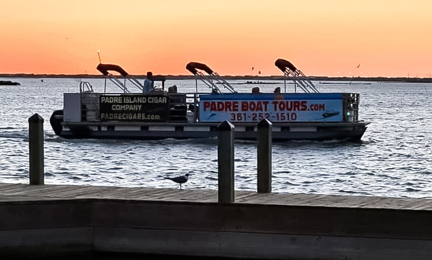 Image 2: Dolphin & Island Eco-Adventure Cruise – Corpus Christi