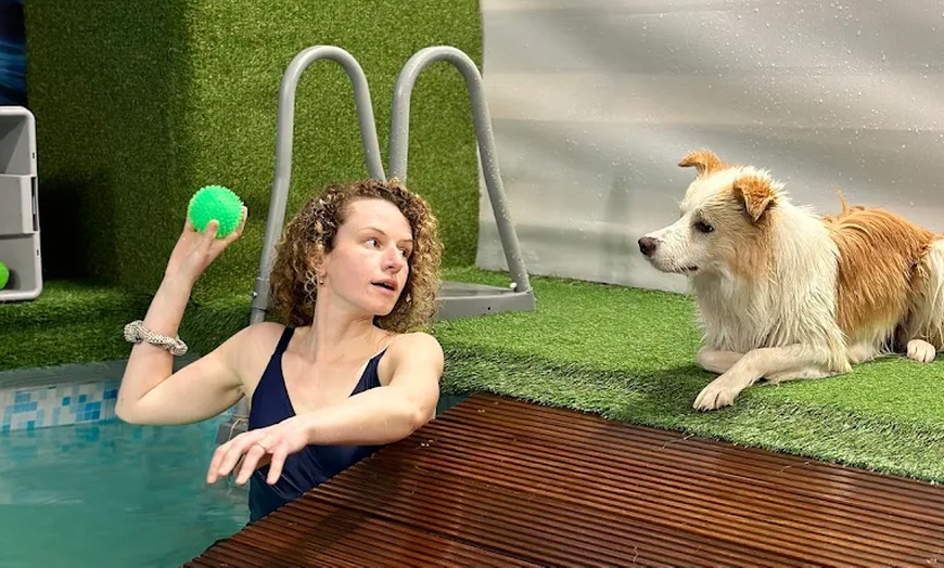 Image 6: Water Fun Awaits: Doggy Fun Swim Session (Owners Welcome to Swim Too)