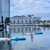 Image 2: Westshore Marina District Guided Kayak & Standup Paddleboard Rentals