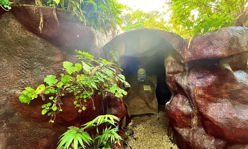 Image 25: Member-Only Deal: Blue River Resort & Hot Springs