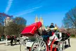 Explore Central Park in Style: 25-Min or 45-Min VIP Carriage Ride At Central Park Carriage Tours (Up to 15%Off) - Second Medium