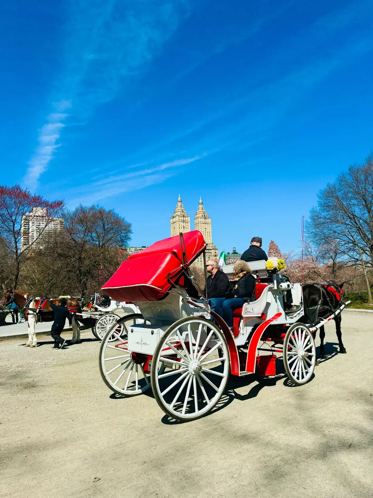 Explore Central Park in Style: 25-Min or 45-Min VIP Carriage Ride