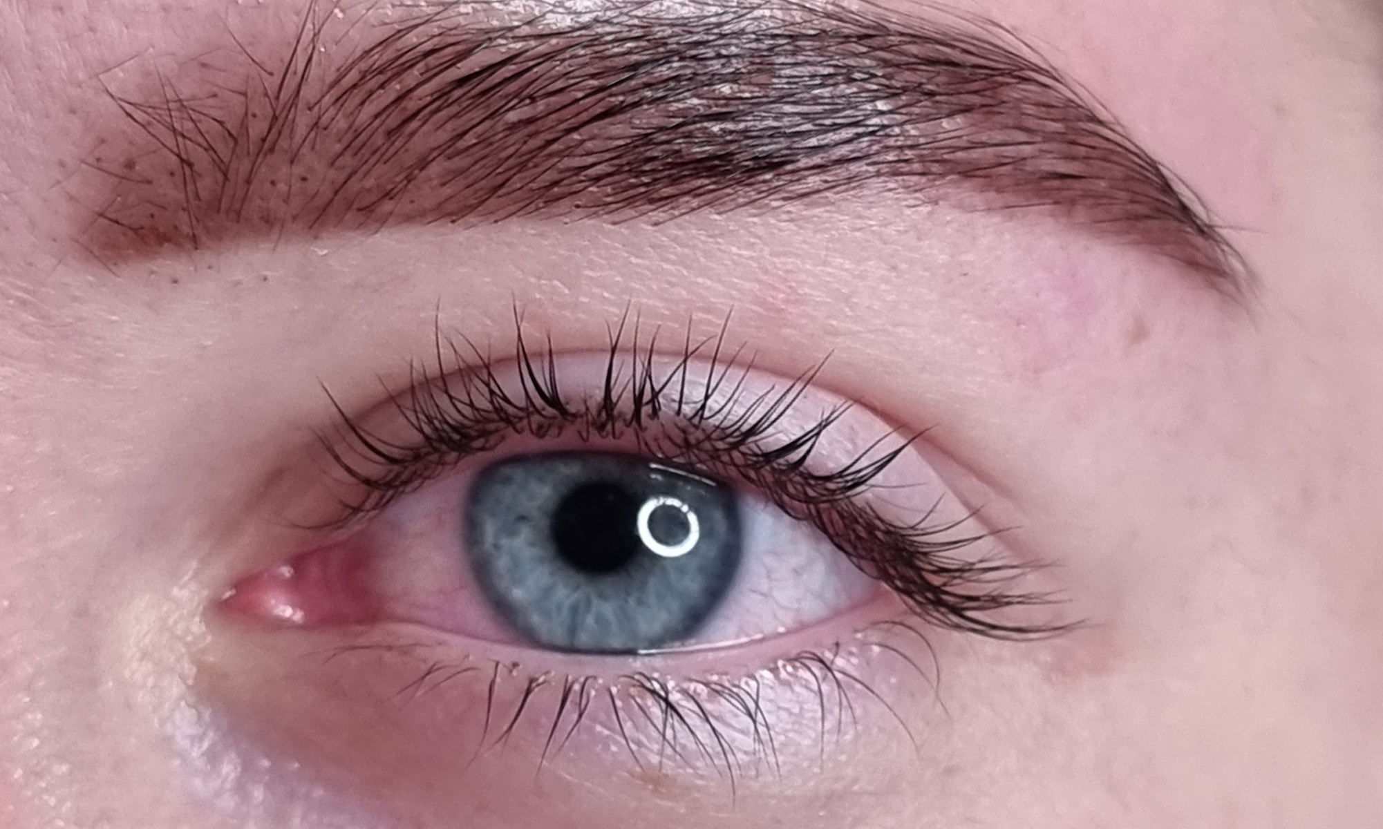 Brows & Lashes Perfected: Lamination, Tint, & Lift