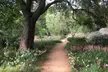 Discover Serene Beauty & Explore 86 Acres of Rare California Native Plants at California Botanic Garden - Second Medium