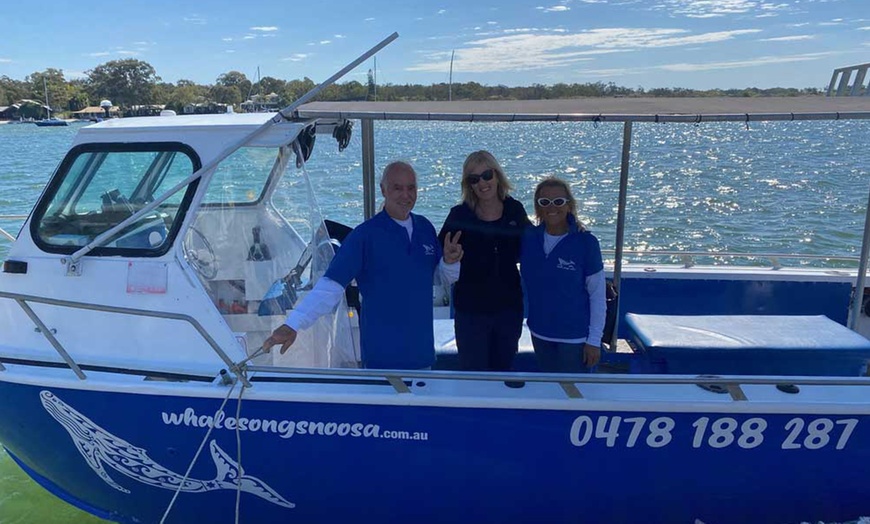 Image 6: 120-Min Noosa Whale / Dolphin Watching Experience for 1 Adult or Child
