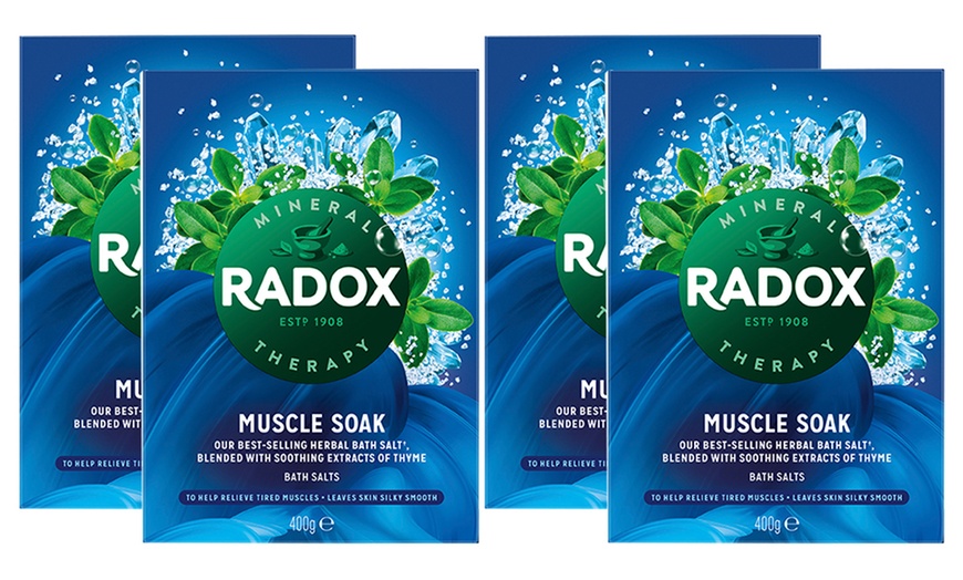 Image 5: Radox Bath Therapy Muscle Soak Herbal Bath Salts 400g