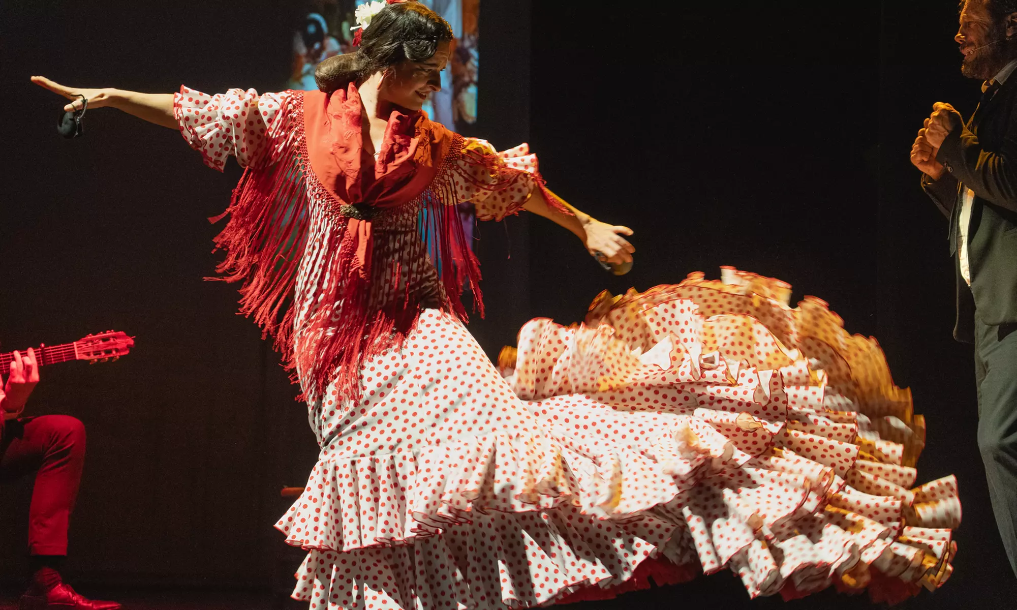 "Pasión": entrada para el show de flamenco en marzo en Sevilla