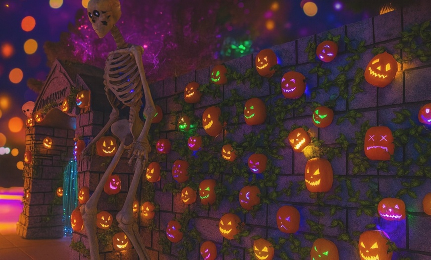Image 1: Get a Spooktacular HallOVeen Passport at Opportunity Village