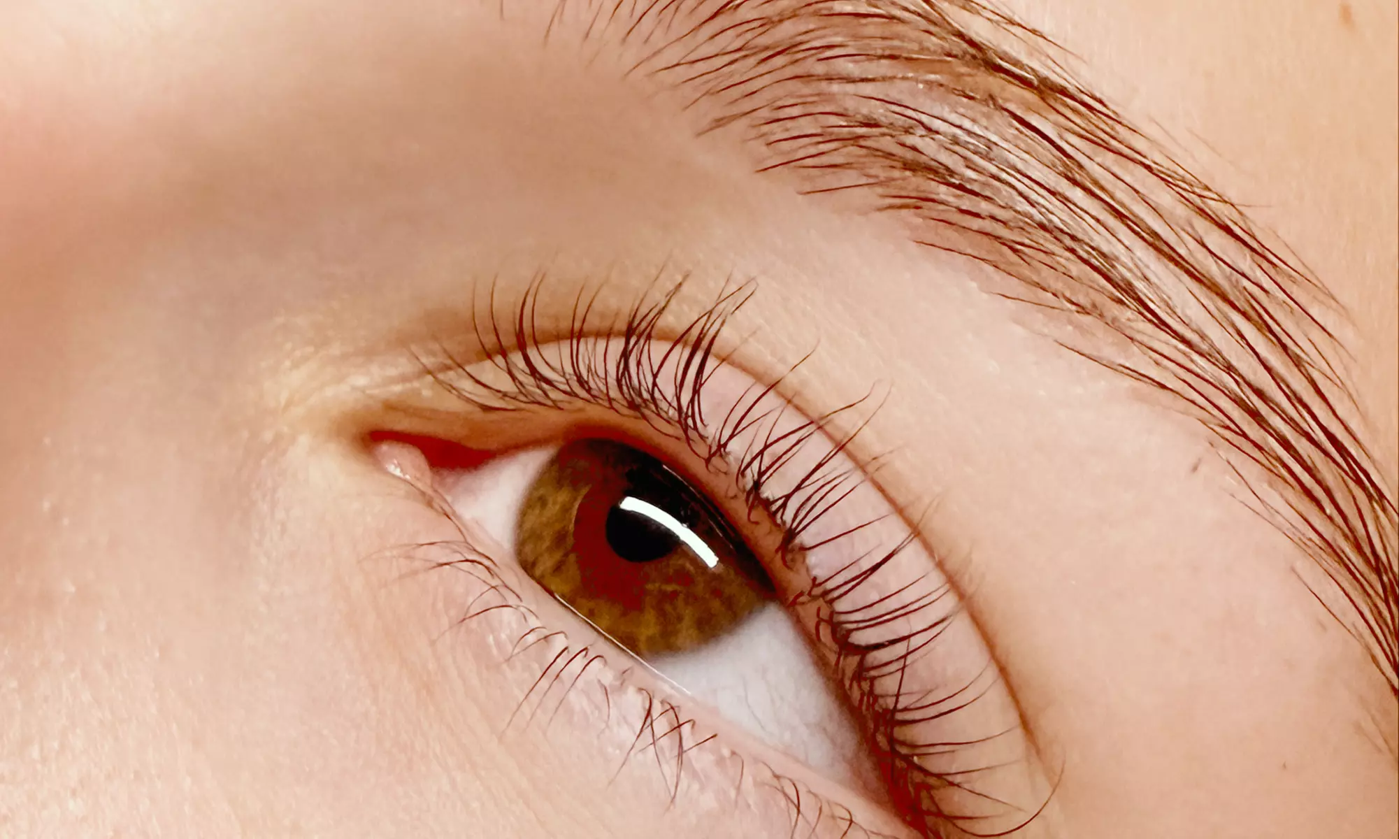 Custom Facial or Brow & Lash Treatments, w/w/o Waxing Services