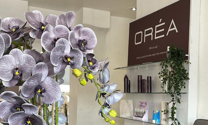 Image 4: 45, 60 or 90-Min Japanese Head Spa w/ Glass of Prosecco or Herbal Tea