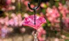 Wavy Glass Ant Moats (Set of 3)