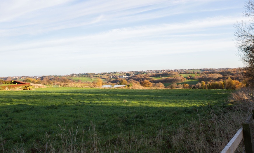 Image 7: Two-Course Dining & Wine for Two or Four 