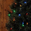 Image 16: XMAS25-2 Pack Christmas String Lights