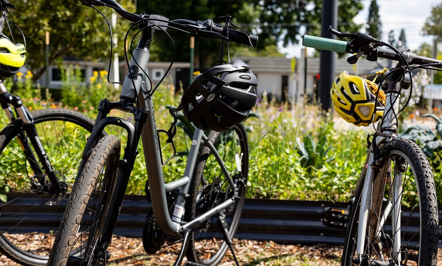 Image 12: Uncover Hidden Orlando: 3-Hour Bike Tour for Up to 8 
