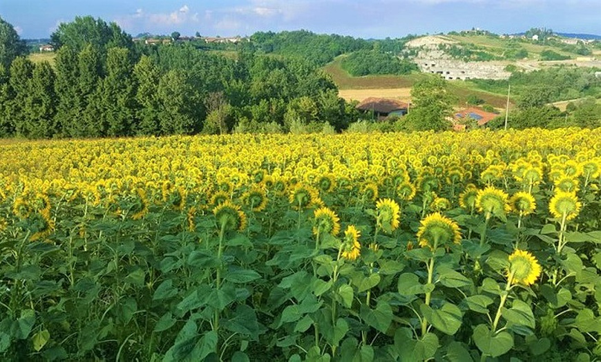 Image 12: Degustazione vini, salumi e formaggi da Azienda agricola Paoletti